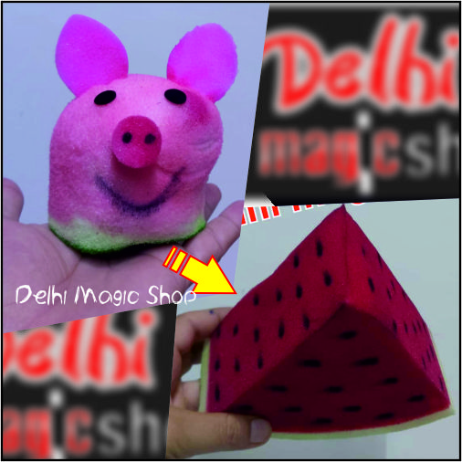 Sponge piggy Watermelony